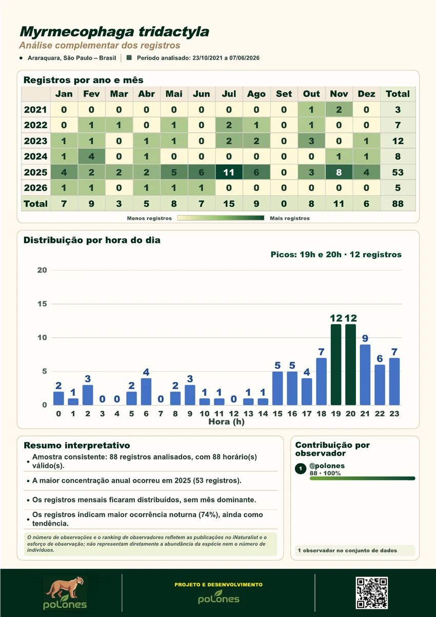 Tamanduá-bandeira sample poster, page 2